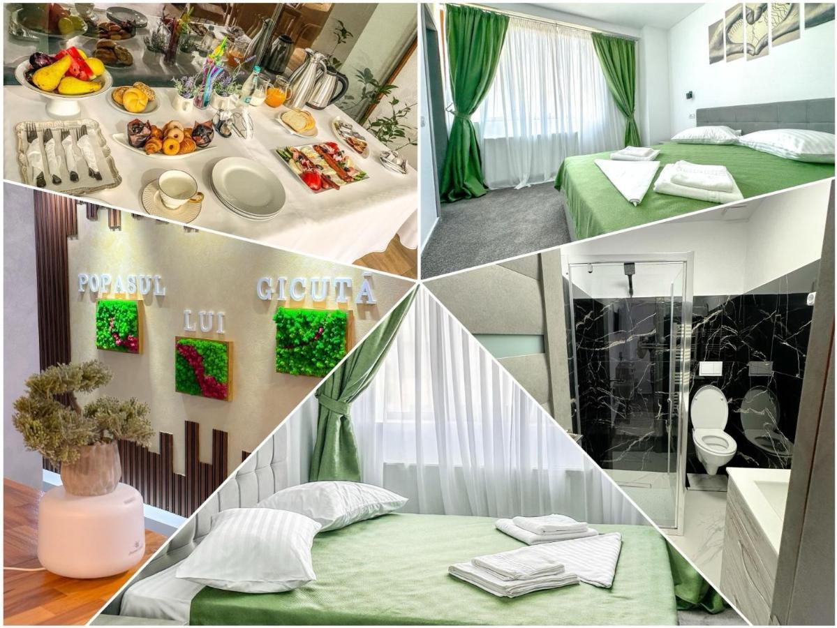 Bed and Breakfast Popasul Lui Gicuta Curtea de Argeş Exteriér fotografie