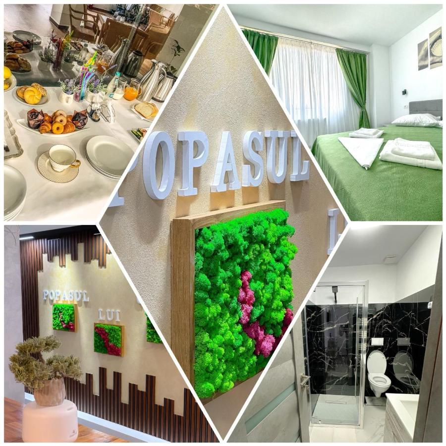 Bed and Breakfast Popasul Lui Gicuta Curtea de Argeş Exteriér fotografie